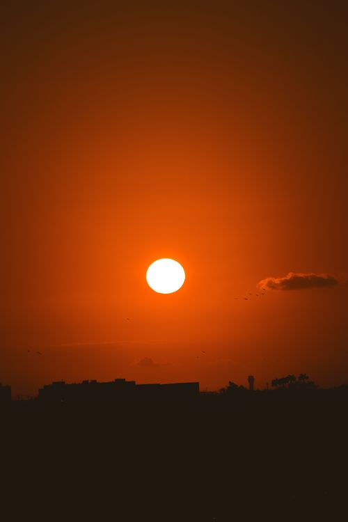 Free A striking silhouette against a vivid sunset sky with a bold orange hue, capturing the tranquil beauty of dusk. Stock Photo