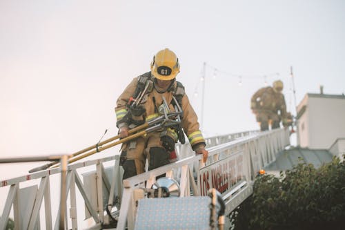 Gratis stockfoto met beschermende werkkleding, boom, brandweerman