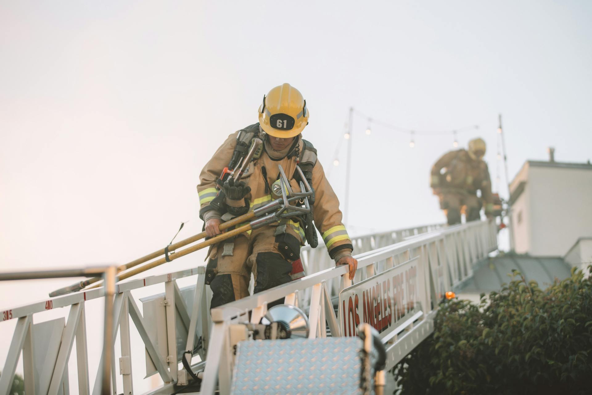 Firefighters on ladder