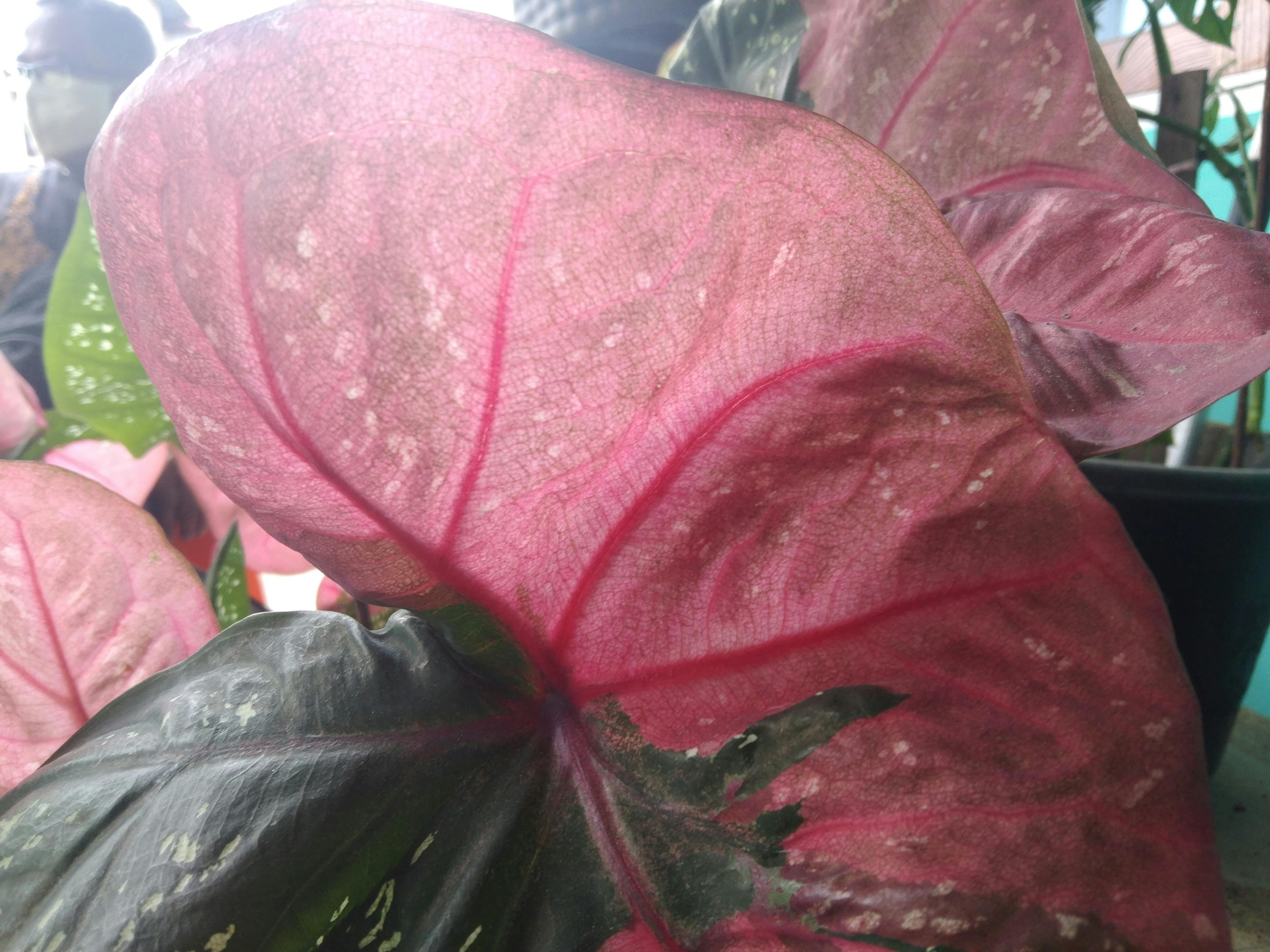 Engineer using a tablet and mixed-reality headset in an industrial environment.