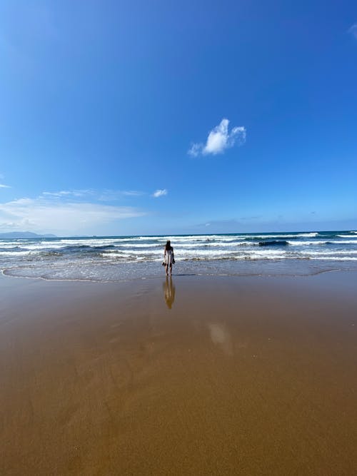 Free Person in Black Shirt and Brown Shorts Walking on Seashore Stock Photo