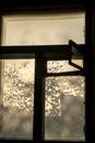 Glass Windows on Wooden Frame