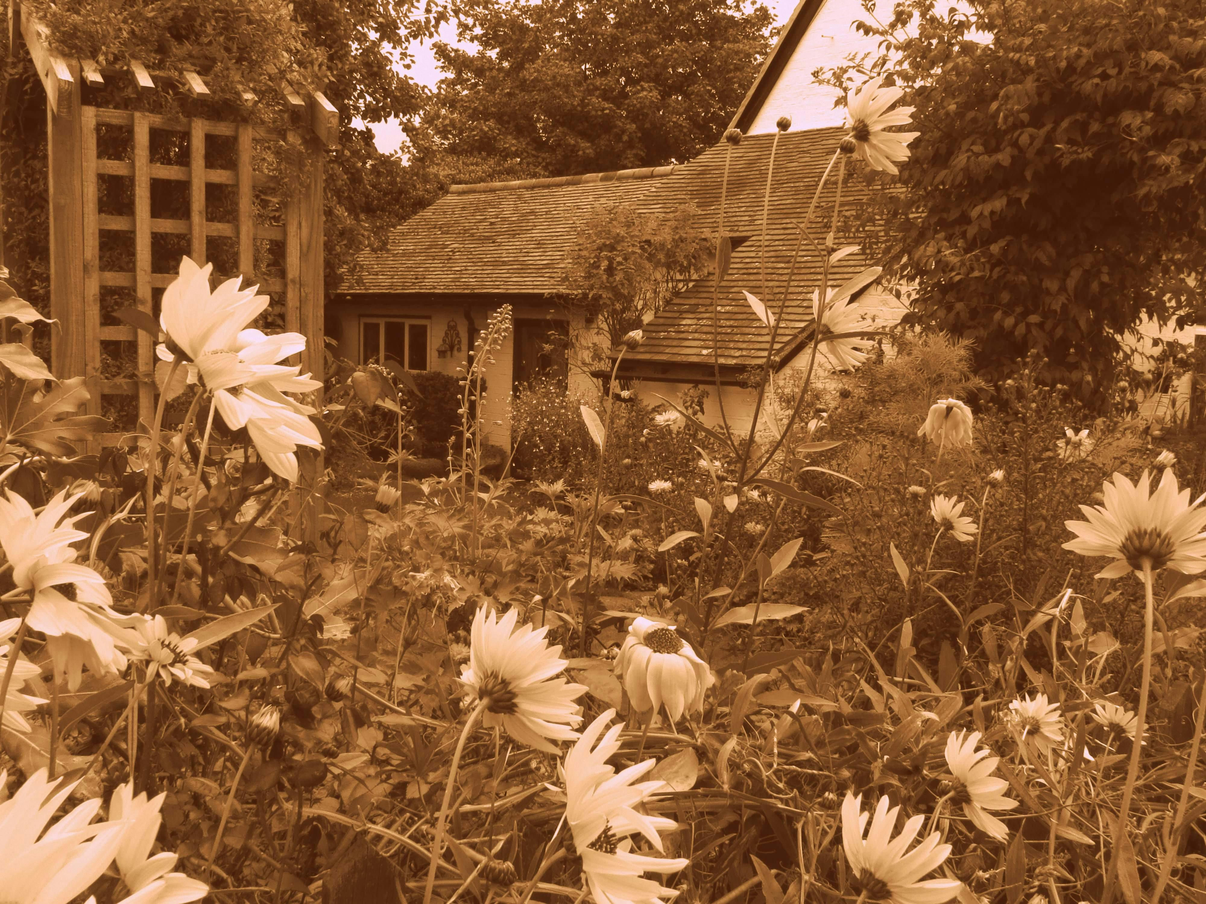 Kostenloses Foto Zum Thema Altes Haus Bauerngarten Englisch Ferienhaus