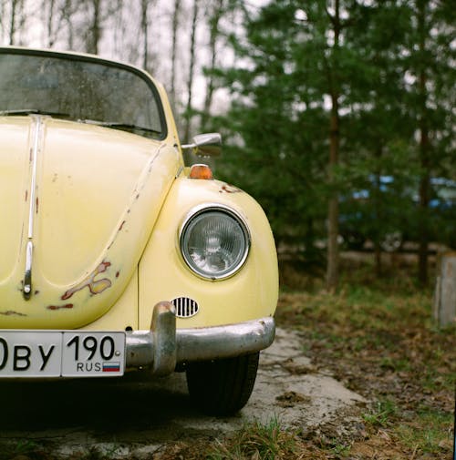 Photos gratuites de beetle, mise au point sélective, nostalgie