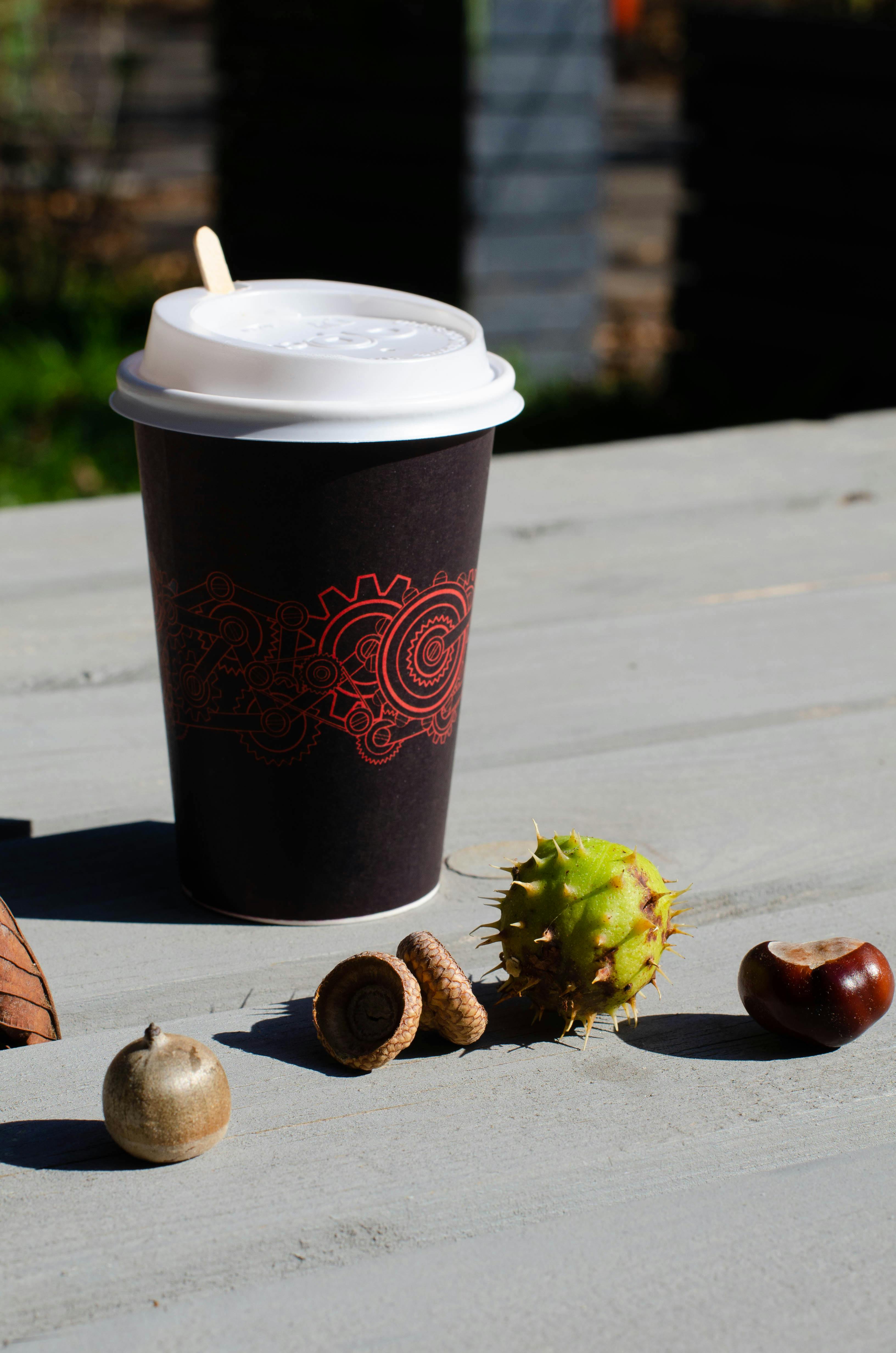 Brown and White Disposable Cup · Free Stock Photo