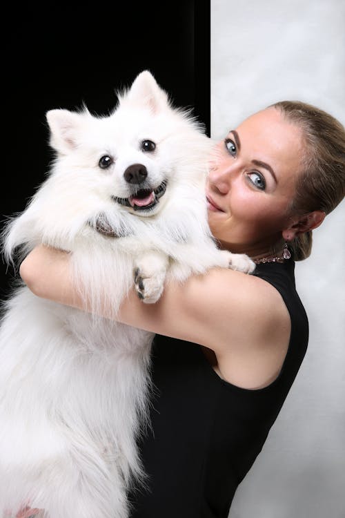 Foto profissional grátis de abraços, alegre, cachorro branco