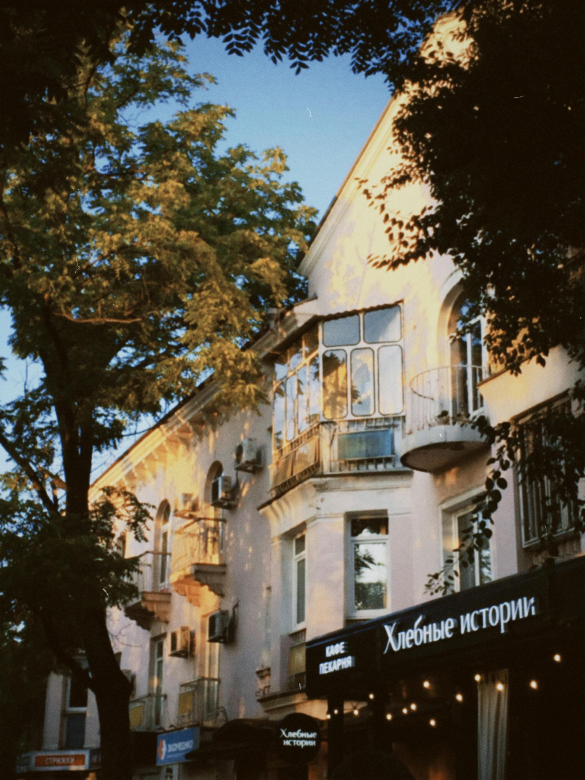 A picturesque scene of urban townhouses surrounded by lush trees under evening light.