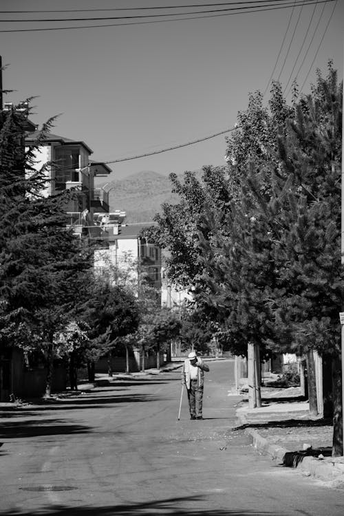 Free Man Walking on the Road Near Trees and Buildings Stock Photo