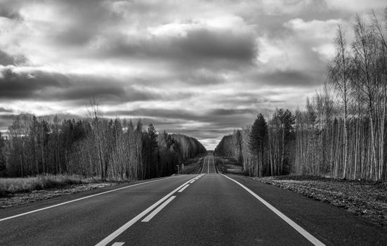 A Grayscale Photo of a Long Undulate Road Between Trees