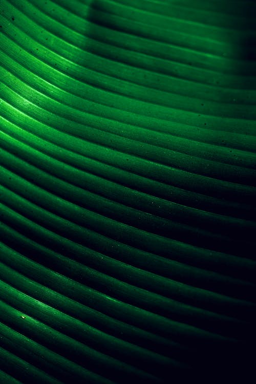Green and Black Striped Textile