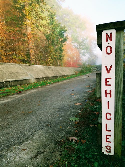 Sign beside a Road in Forest Saying "No Vehicles"