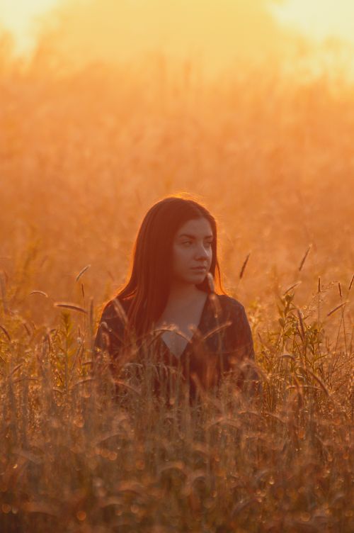 Free A woman stands in a field at sunset, surrounded by golden light and reeds. Stock Photo