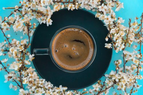 Free Stylish composition of black coffee surrounded by delicate white blossoms on a bright blue background. Stock Photo