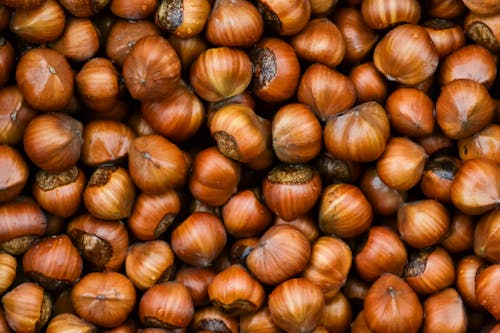 Brown Hazelnuts Fruits