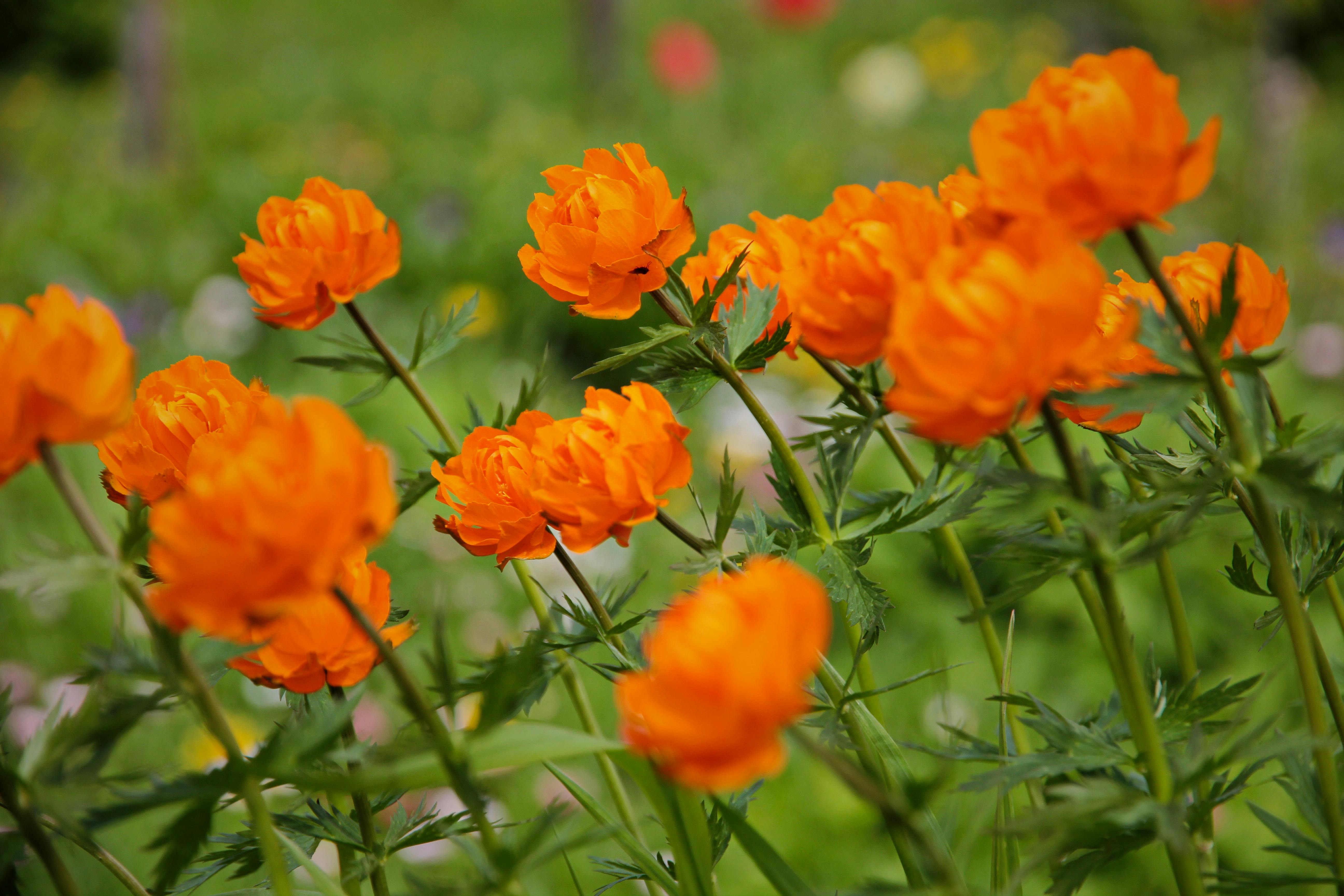 Природа и природный пейзаж в фотографиях