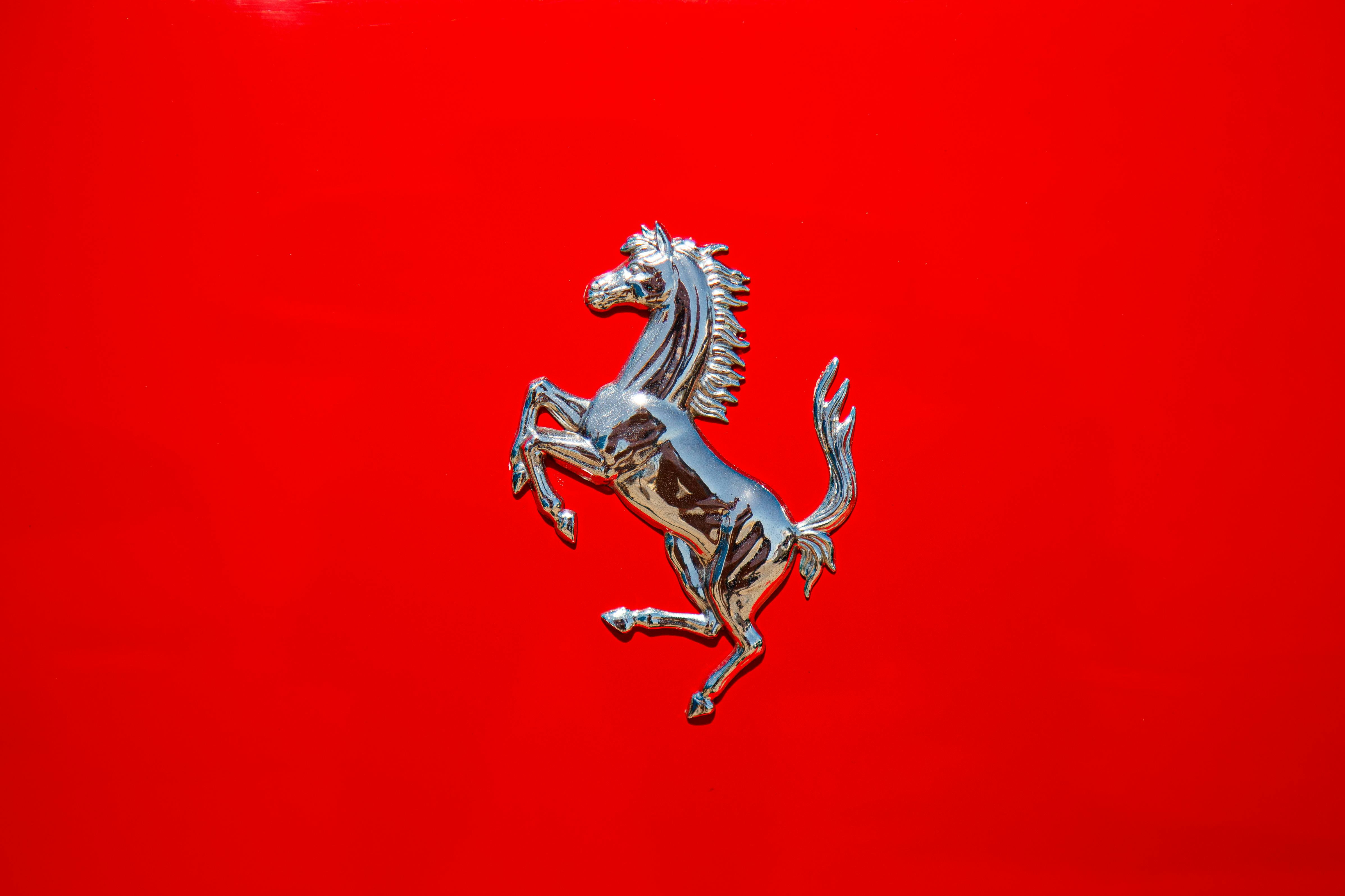Red Horse Photos Download Free Red Horse Stock Photos Hd Images