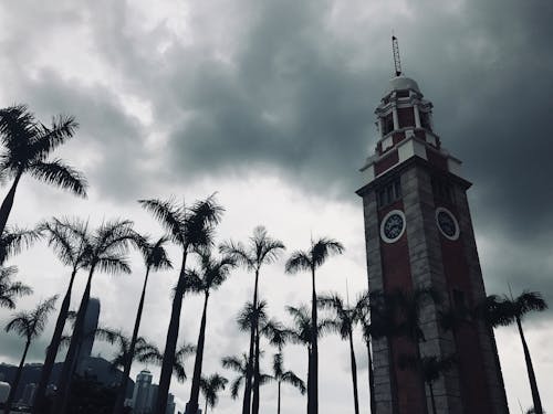 Základová fotografie zdarma na téma hodinová věž, Hongkong