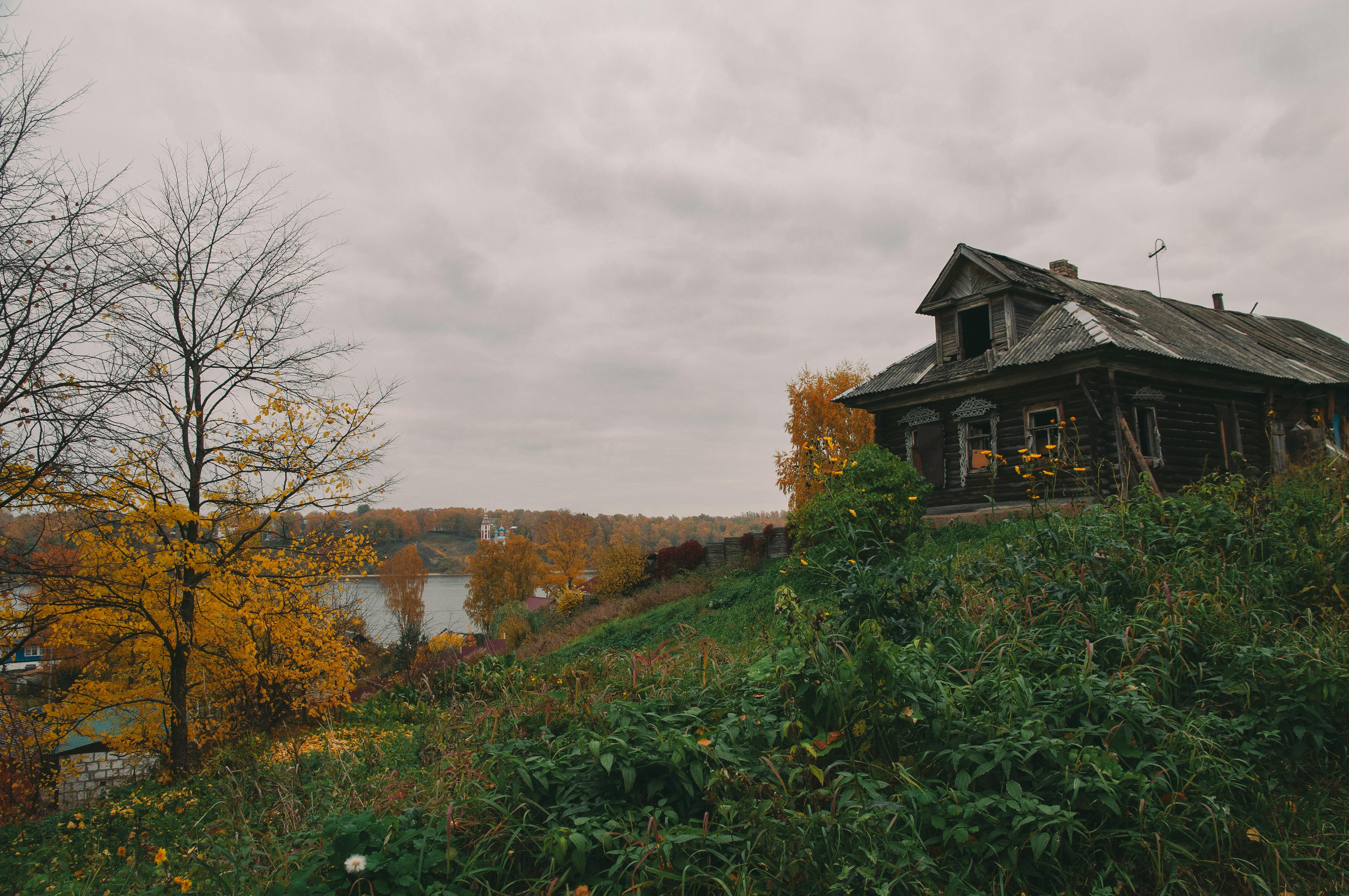 wooden house on a hill near body of water