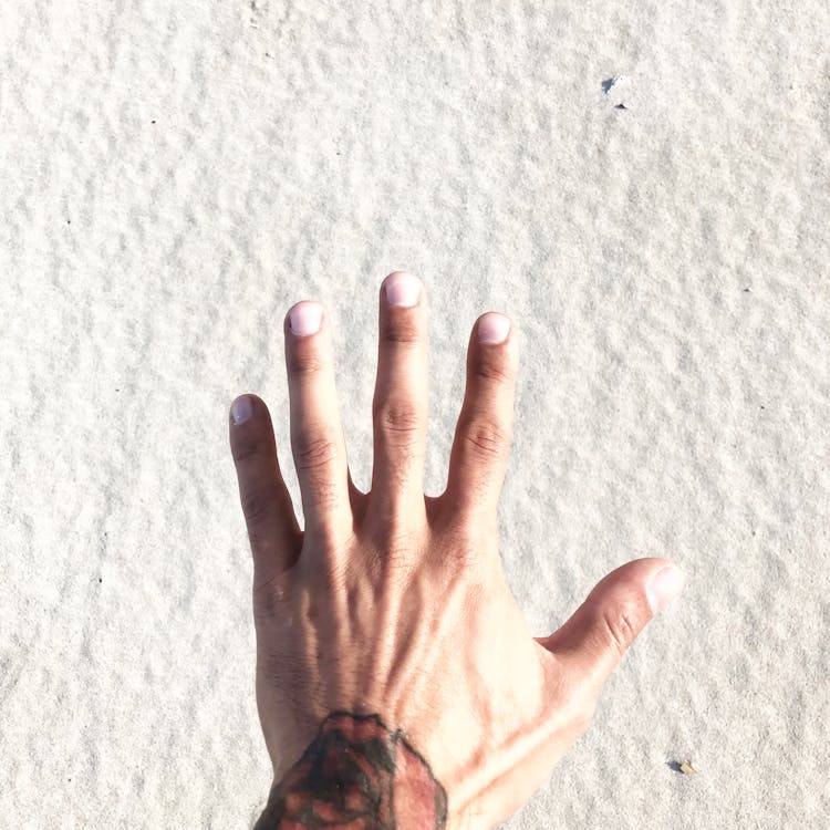 Person's Left Hand · Free Stock Photo