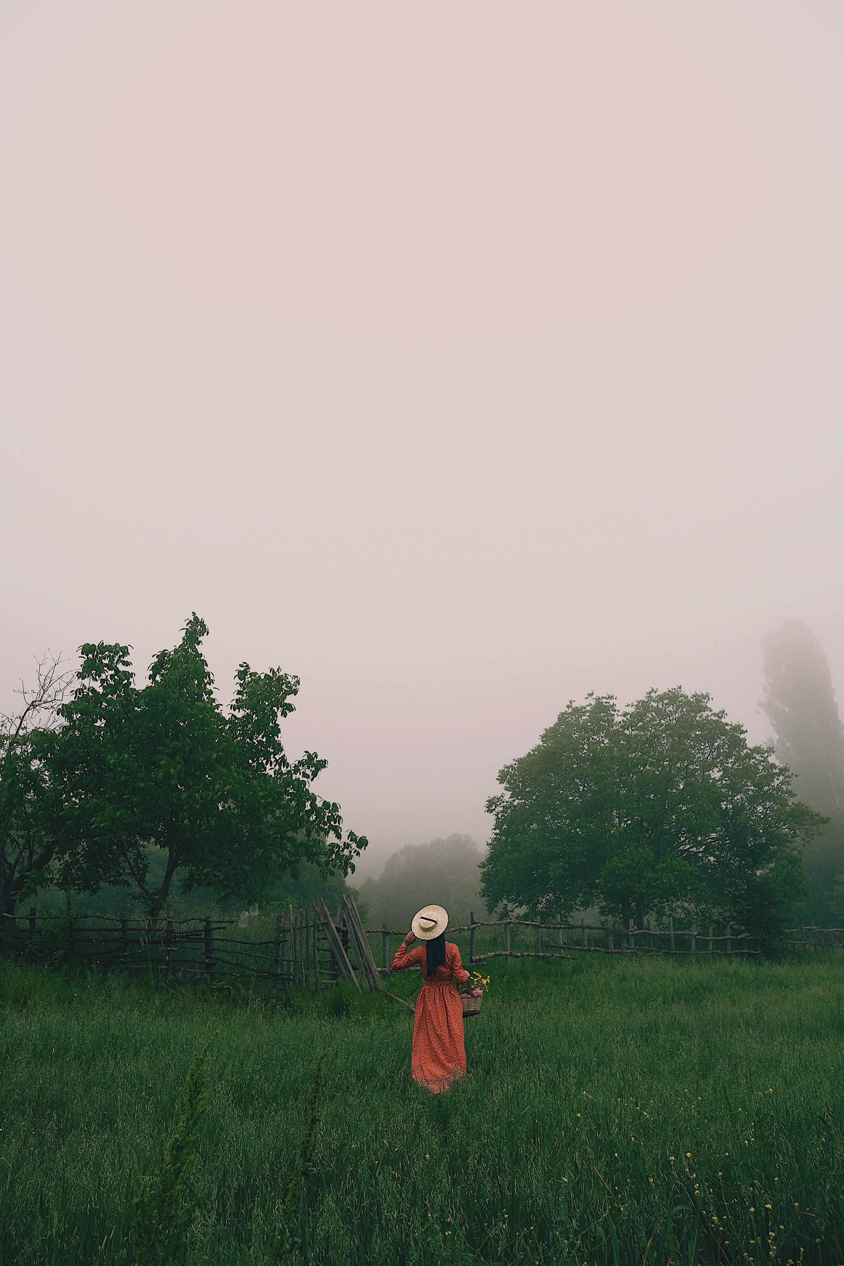 A Woman Wearing a Dress in a Flower Field · Free Stock Photo