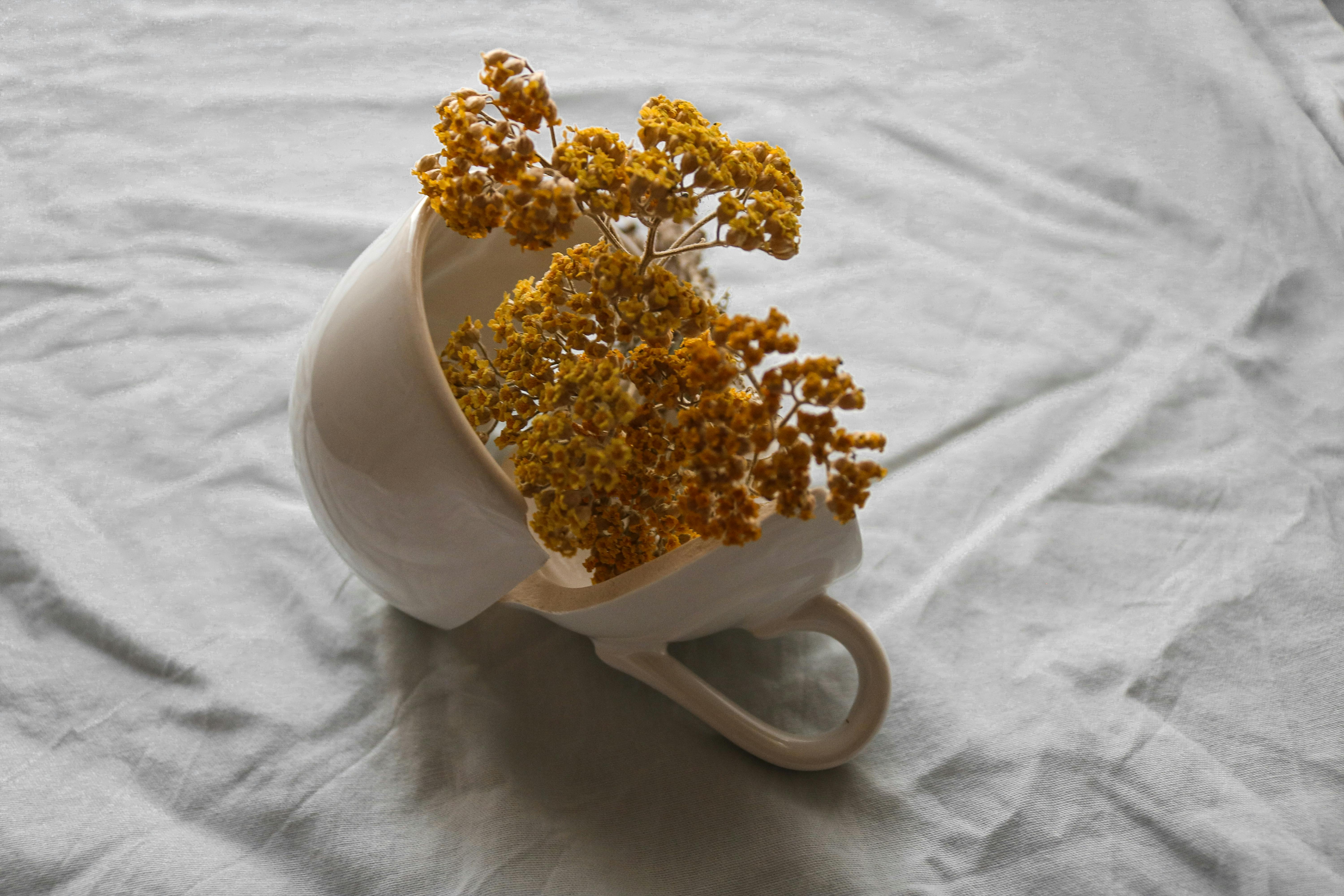 Close-up of charming yellow flowers arranged artistically in an upside-down white cup.