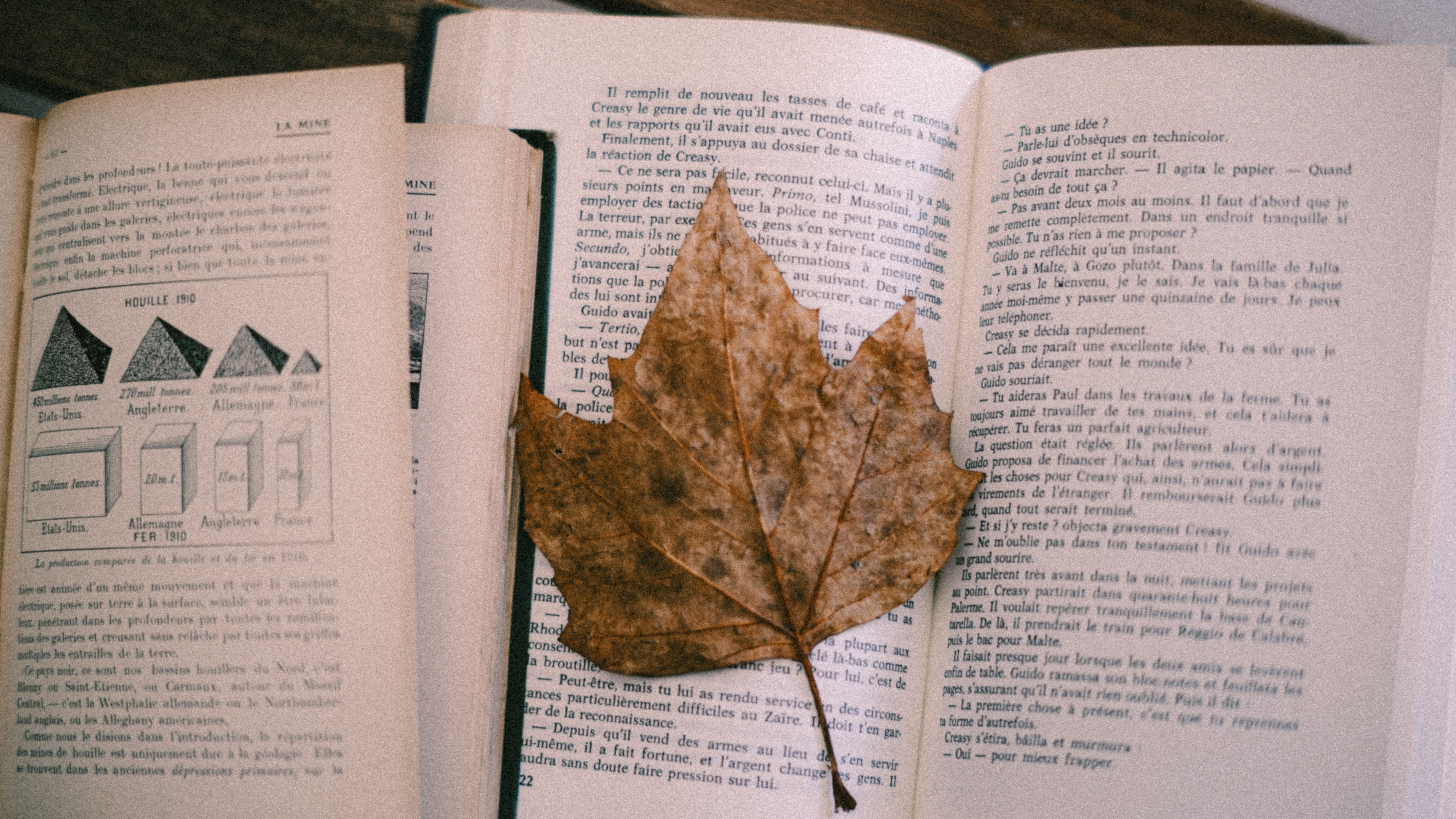 A dry leaf on open books creates an autumnal educational still life scene.
