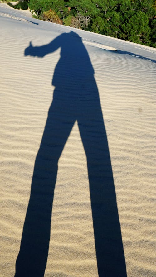 Free stock photo of dune, shadows Stock Photo