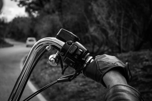 Photos gratuites de des gants de cuir, échelle des gris, fermer