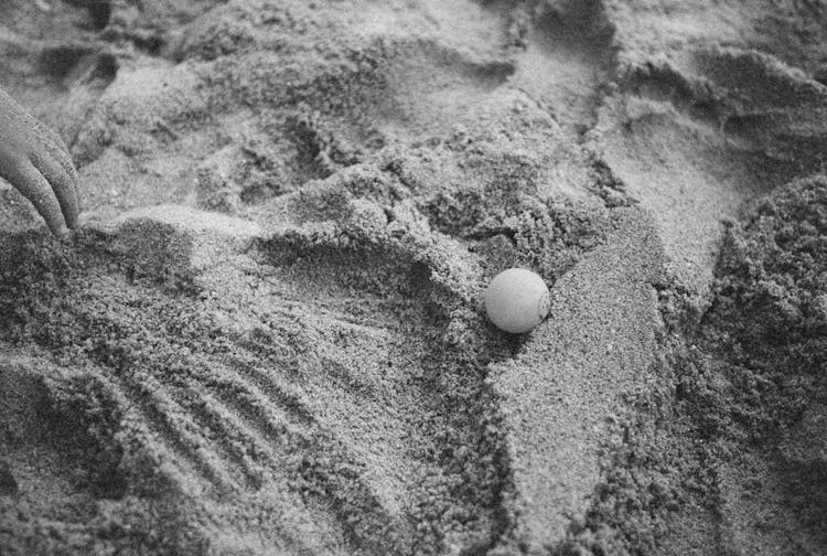 A Ping Pong Ball On The Sand