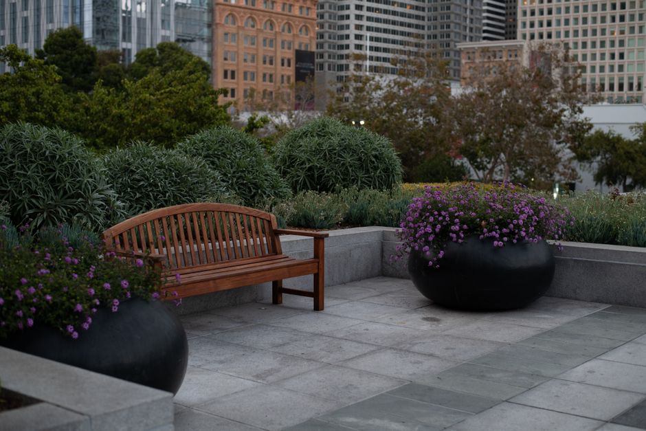 A peaceful urban garden scene with a wooden bench and vibrant potted plants.