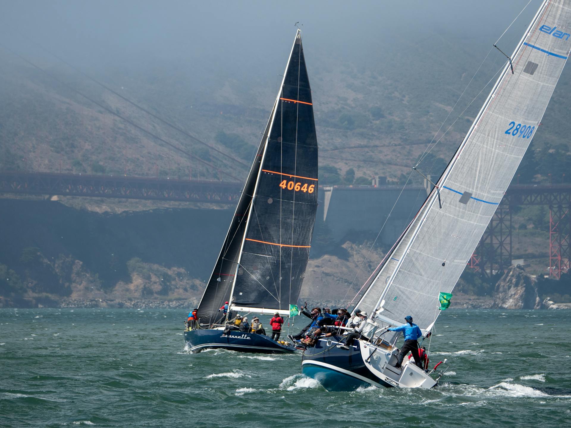 Dynamic race of sailboats on a windy day near a landmark bridge.