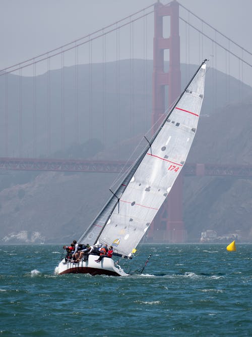 People Sailing in the San Francisco Bay