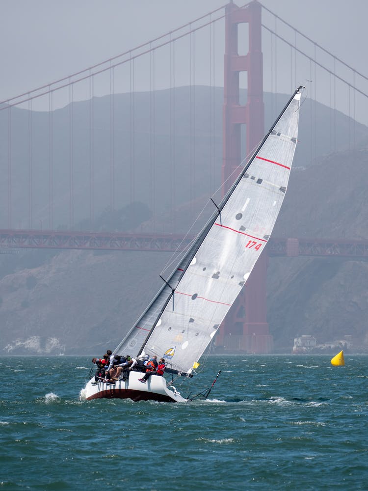 People Sailing In The San Francisco Bay