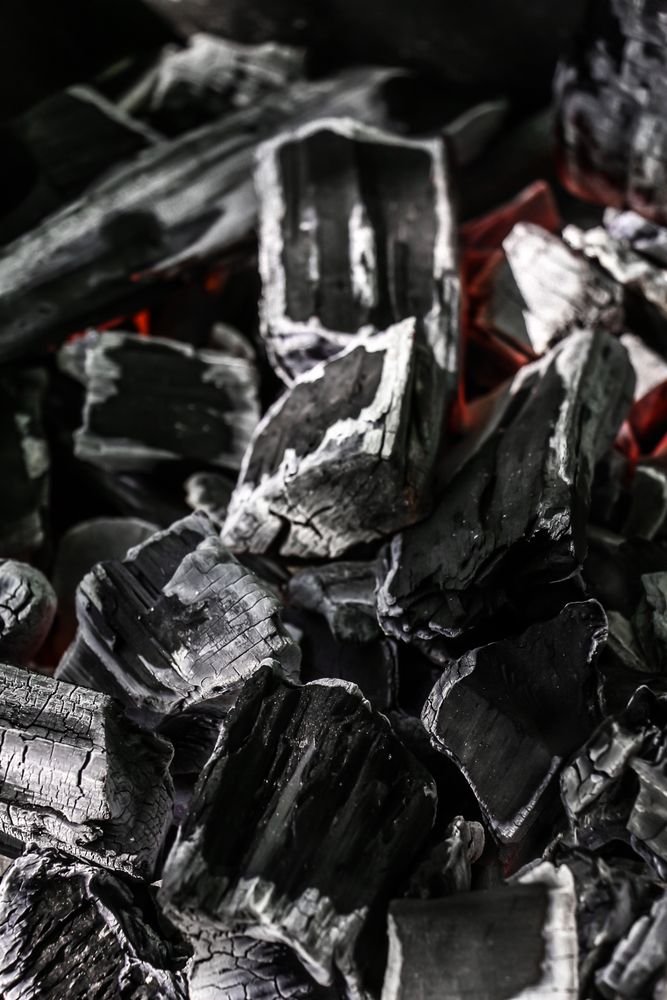 Char Photos, Download The BEST Free Char Stock Photos & HD Images