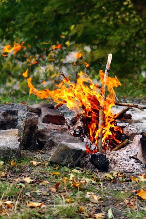 Free Burning Woods on a Firepit Stock Photo