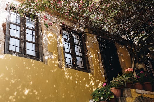 古雅的黄色墙壁上，盆栽植物从悬垂的树枝间投下斑驳的阴影