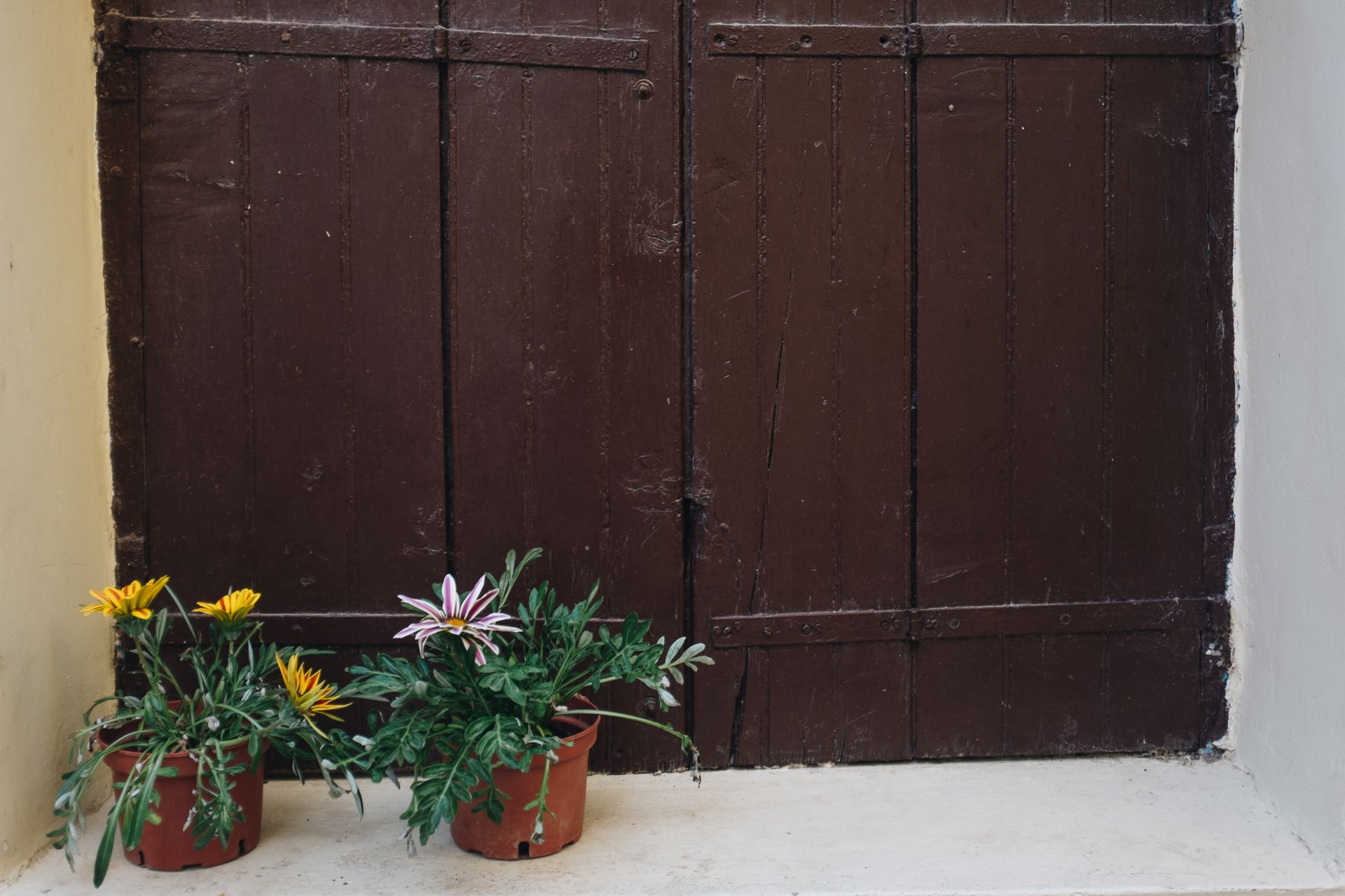 Rustic wooden window with colorful potted flowers on a ledge, indoors.