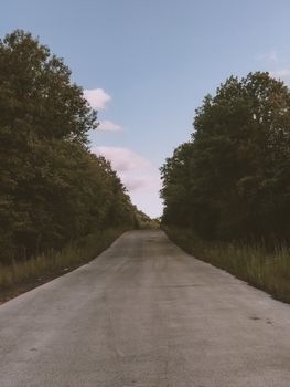 A tranquil rural road winds through dense, vibrant green trees under a peaceful blue sky.