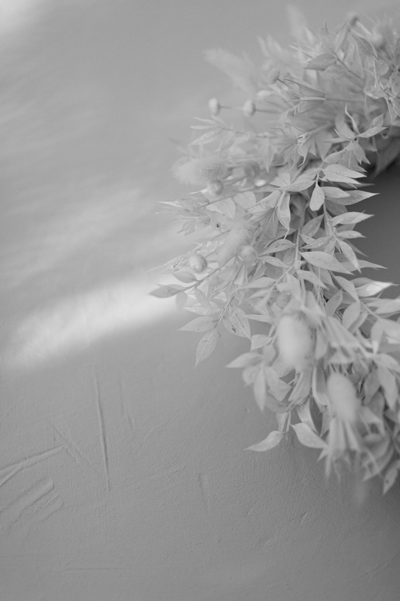 A leafy green wreath hanging on a light wall, photographed in soft black and white