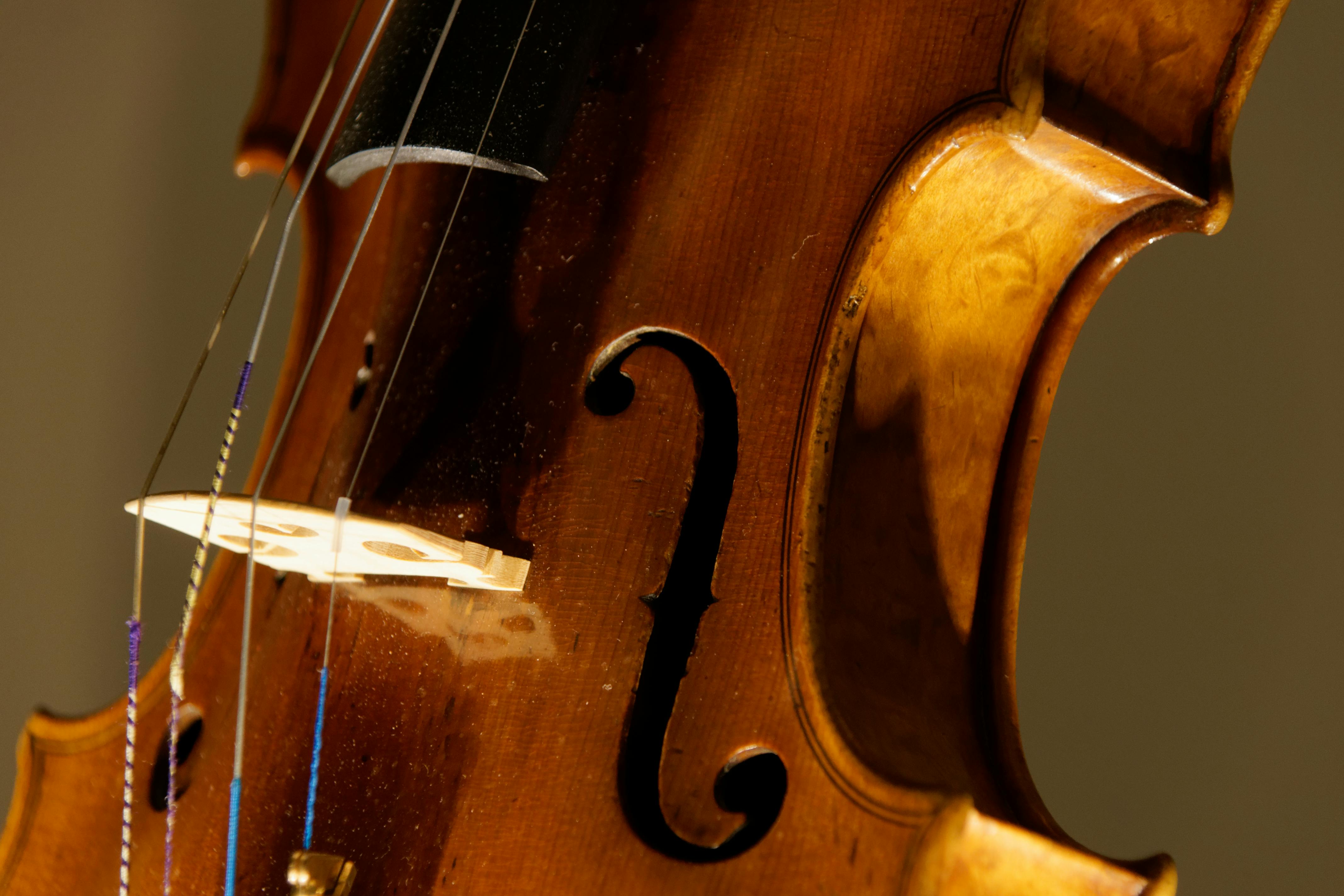 Free stock photo of detail, violin
