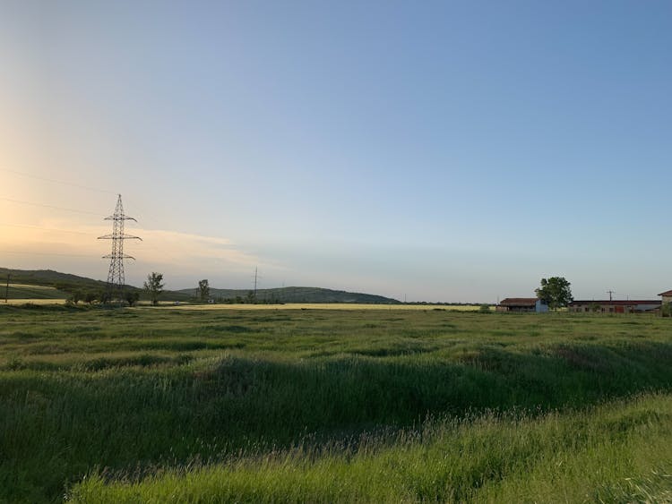 Green Field In Wild Nature Landscape