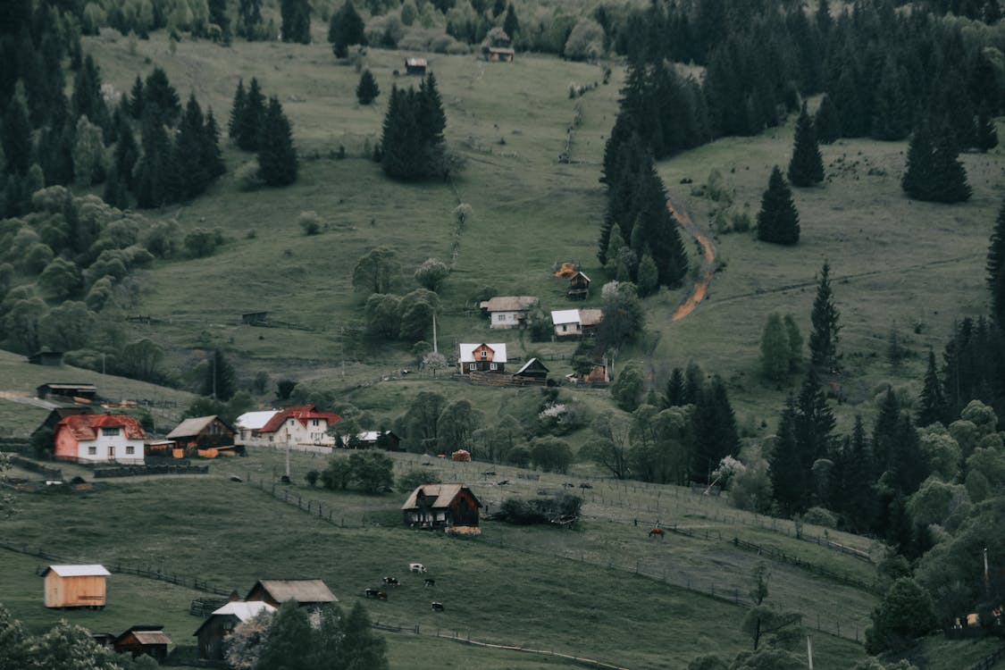 Houses on Grass Field