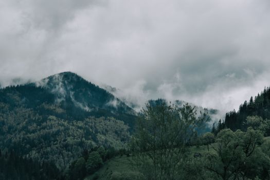 Serene countryside landscape with misty mountains and dense forest greenery.