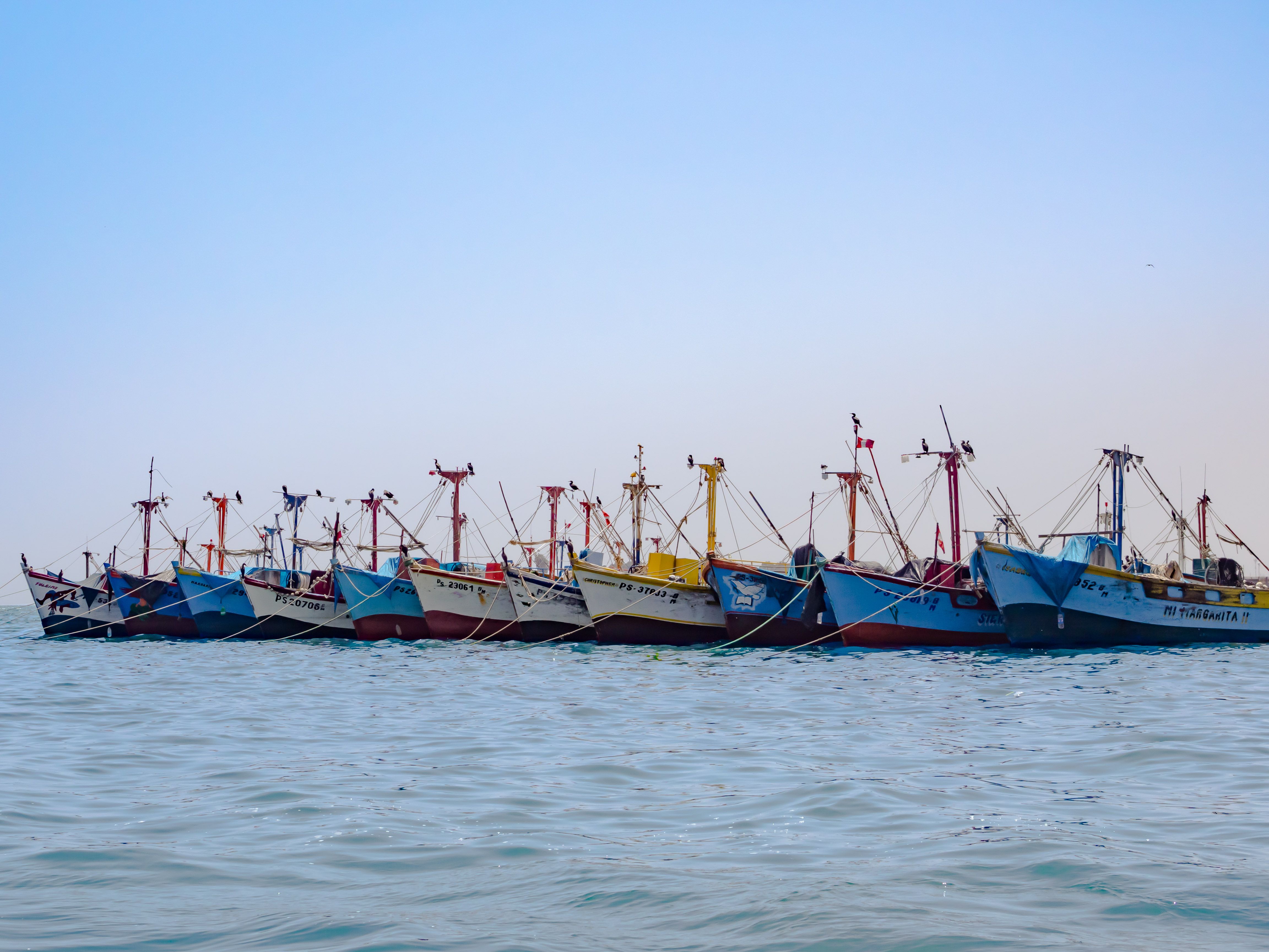 Proposal could expand fishing options for USVI commercial fleet — Photo by José Rego on Pexels