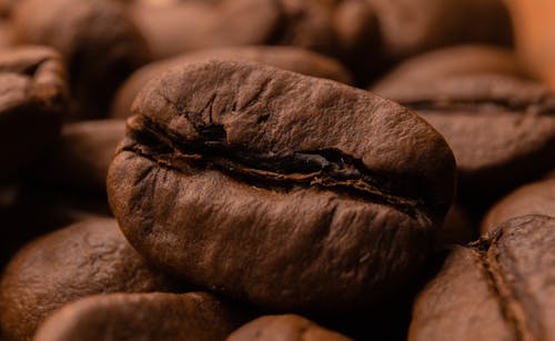 Free Close-Up of a Roasted Coffee Bean  Stock Photo