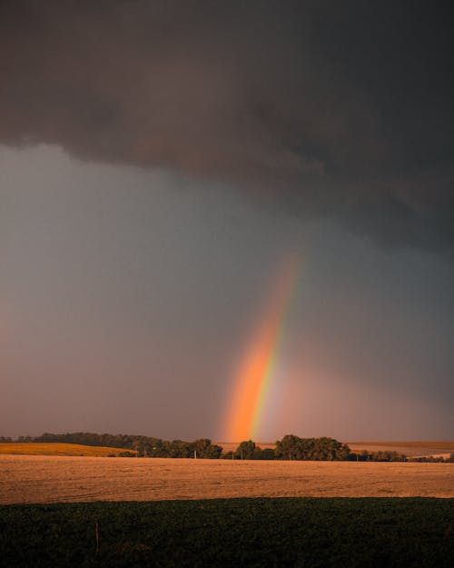 Rainbow in Fields after Heavy Rain