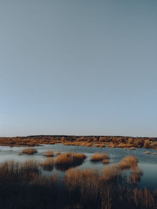 Free A peaceful wetland scene with calm waters and clear skies, showcasing nature's beauty. Stock Photo