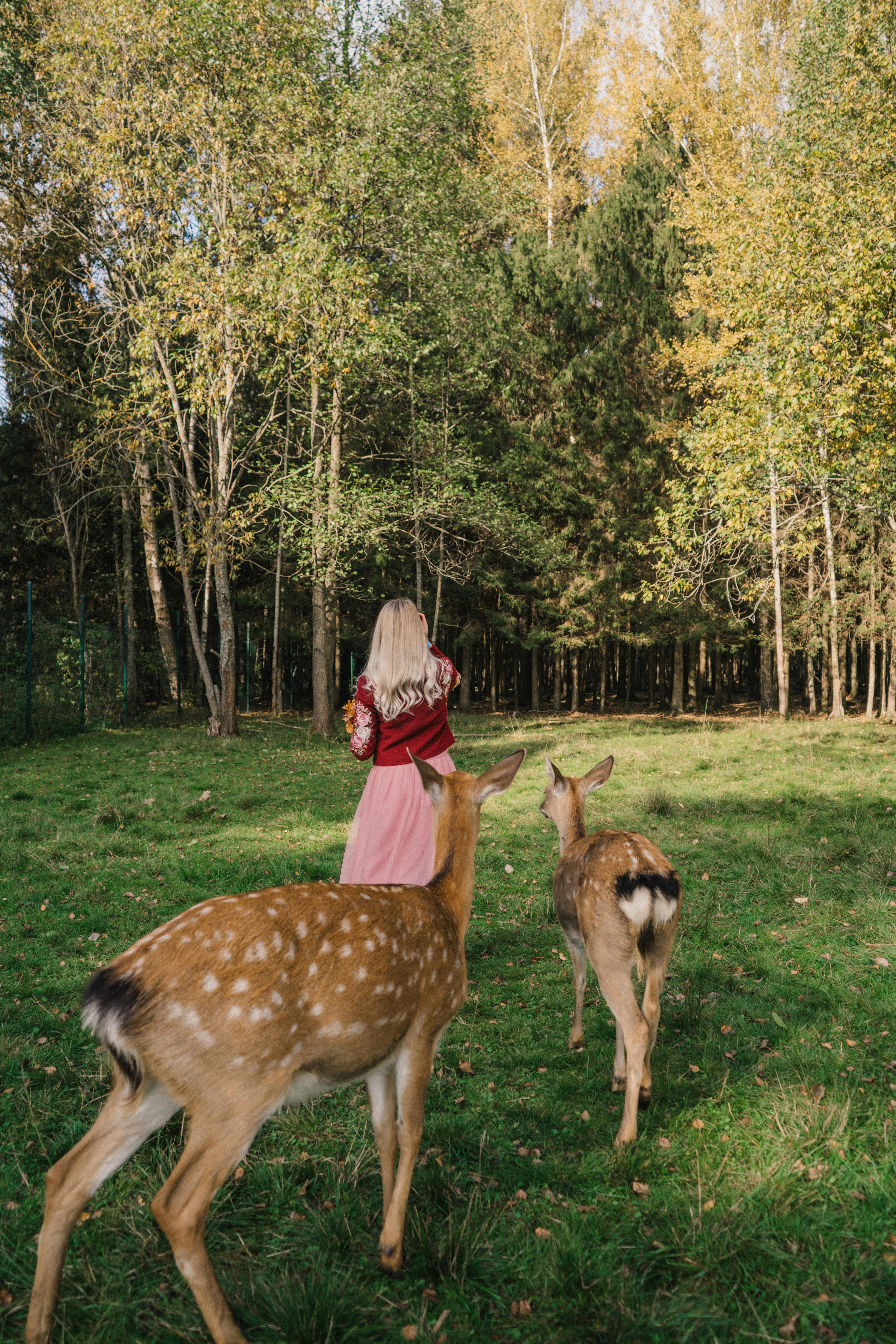 a woman standing beside the deer