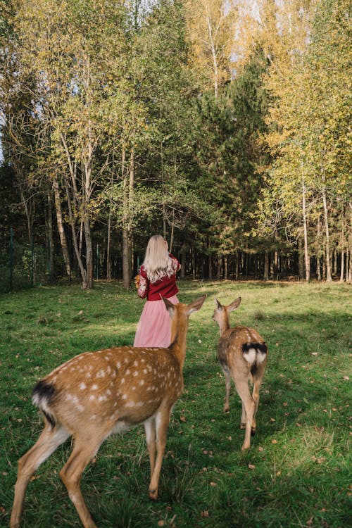 A Woman Standing Beside the Deer