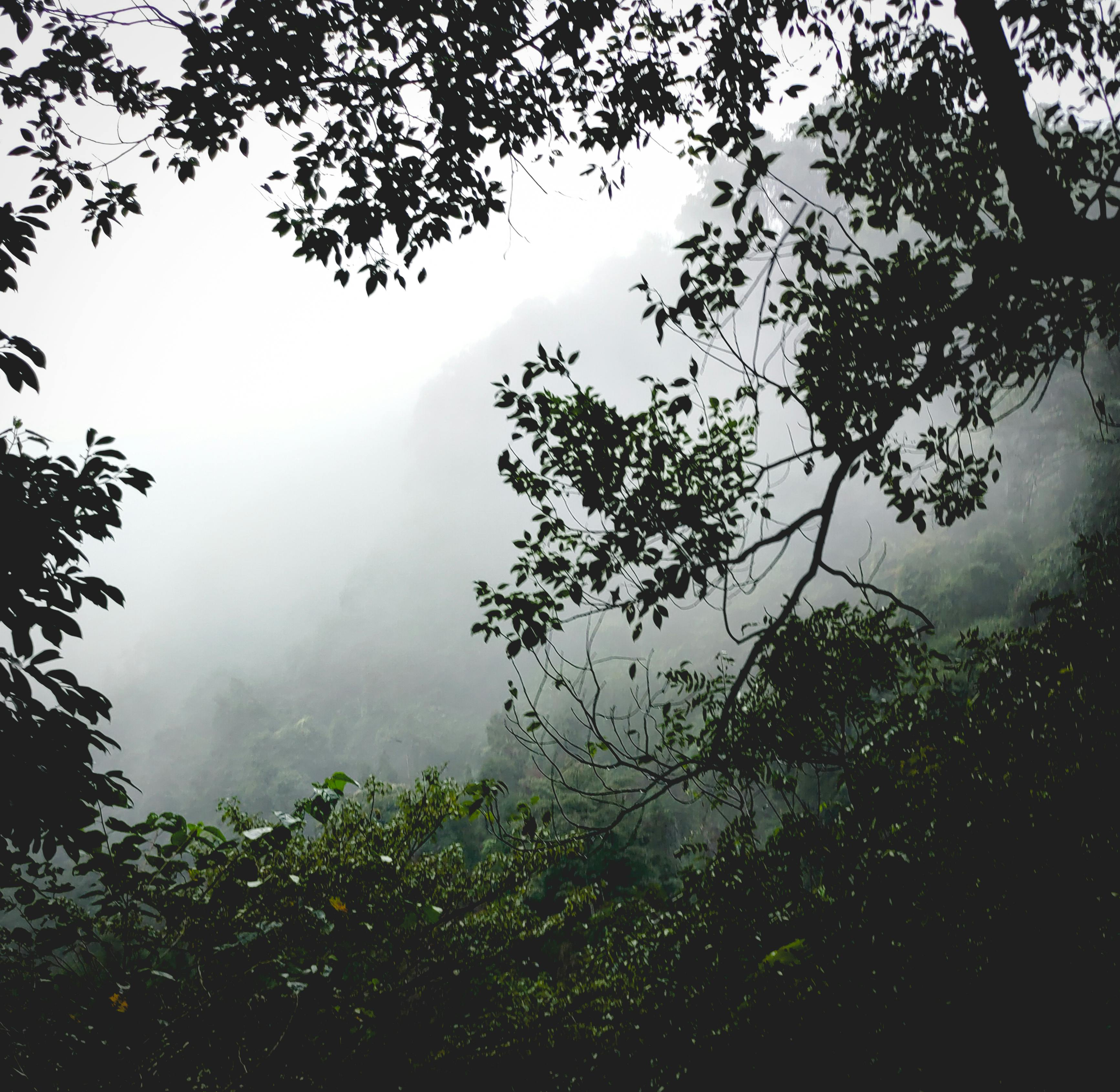 Gratis stockfoto met andesgebergte, na regen Stockfoto